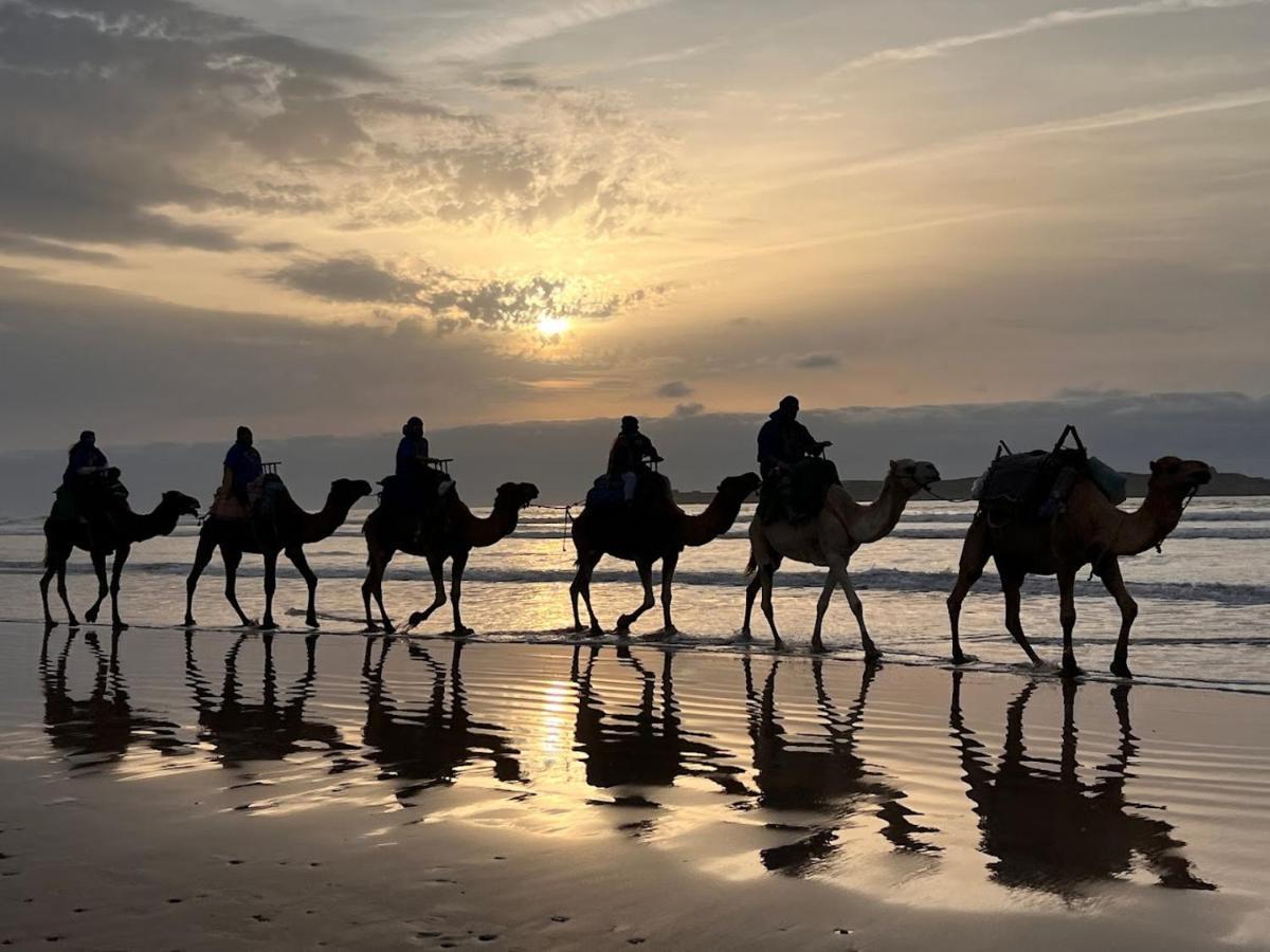 Surf Housemaroc Hostel Essaouira Bagian luar foto
